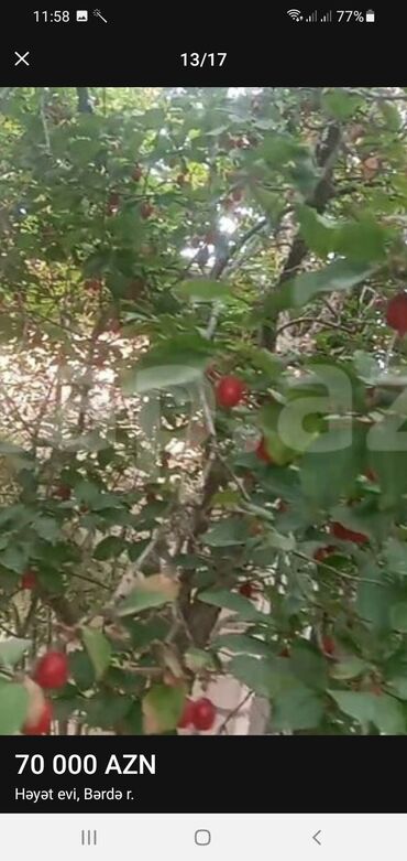 Həyət evləri və villaların satışı: TECİLİ Berde rayon hacìlar kendi yola yaxın 4 otaq zal heyetyani bag — 2