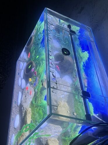 Akvariumlar: Akvarium-şkaf, Balıqlarla birlikdə, 90 l, Ödənişli çatdırılma — 11