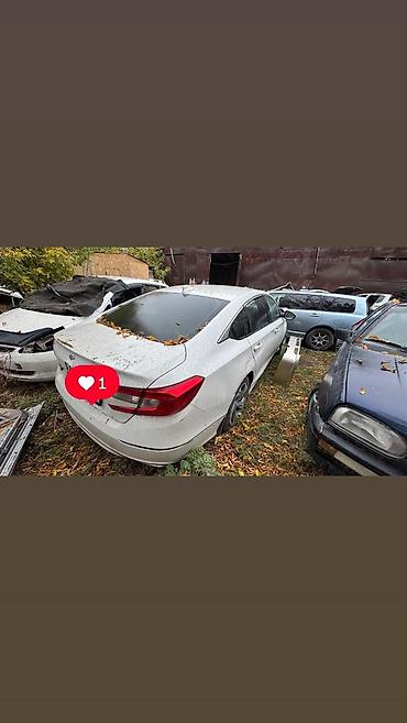jac s7: Белый седан Kia Optima (JF), дорестайлинг, ориентировочно 2016–2018 — 1