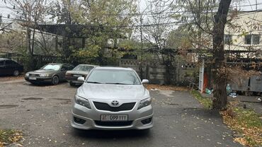 тойота вольц: Toyota Camry: 2010 г., 2.5 л, Автомат, Бензин, Седан