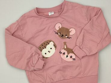 Bluza, Little kids, 7 lat, 116-122 cm, stan - Bardzo dobry