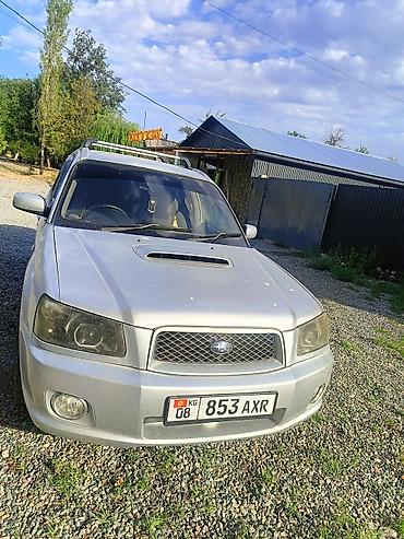 Subaru: Subaru Forester: 2004 г., Автомат, Бензин, Универсал — 15