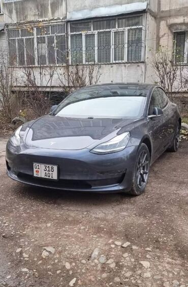 палисад 2020: Tesla MoDeL 3. Год 2020 идеальное состояние