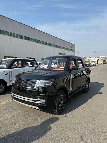 Microcar: Microcar : 2026 г., Электромобиль, Минивэн — 22