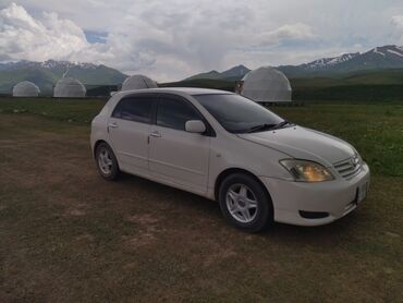 toyota allex: Toyota Allex: 2003 г., 1.5 л, Бензин, Универсал