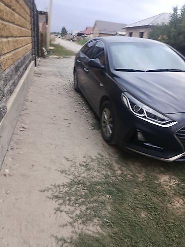 sonata 2012: Hyundai Sonata: 2019 г., 2 л, Автомат, Газ, Седан — 6