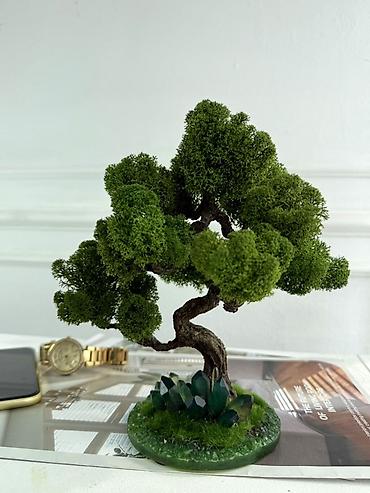 Другой декор и предметы интерьера: Декоративное настольное деревце Бонсай из стабилизированного мха- — 1