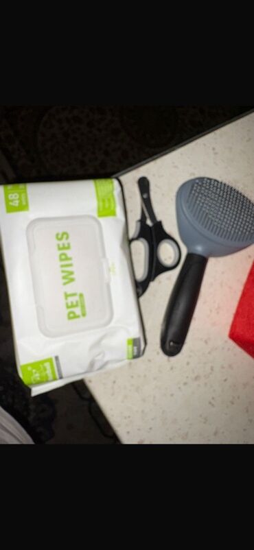 Pişiklər: Şotland yastı qulaq, Erkək, Yaxşı əllərə — 9