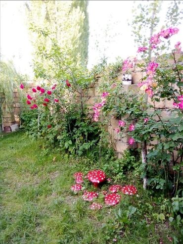 Günlük kirayə evlər: 80 kv. m, 3 otaqlı, İnternet, Telefon, Qaz — 16