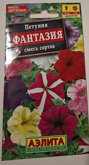 sokoladli gul buketi: Məhsul: AELITA markalı petuniya toxumları – rəngli qarışıqlar — 6