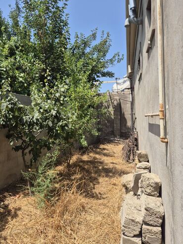 Həyət evləri və villaların satışı: Buzovna 3 otaqlı, 71 kv. m, Kredit yoxdur, Orta təmir — 25