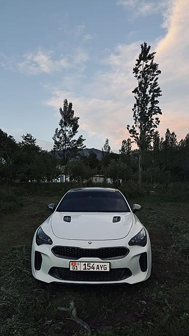 work kiwami: Kia Stinger: 2017 г., 3.3 л, Автомат, Бензин, Лифтбек — 9