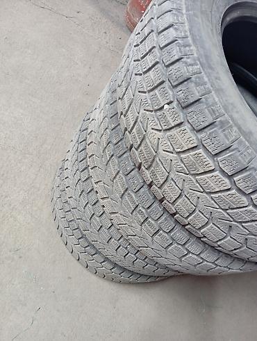 Шины: Комплект зимних шин (4 шт.) - Бренды на боковинах: PRESA и MAXXIS - — 5