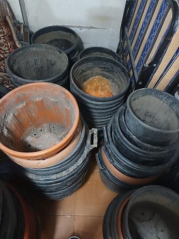 aşdım daşdım gülü: Tecili satilir hamsi birlikde tek tek verilmir 90 yaxin boyuk qablardi — 10