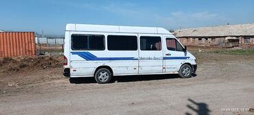 ремень спринтер: Mercedes-Benz Спринтер: 1998 г., 2.9 л, Механика, Дизель, Бус