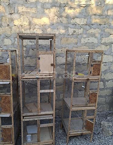 qefəs: Quş qəfəsləri – çoxbölməli taxta-karkaslı konstruksiyalar • Material — 2