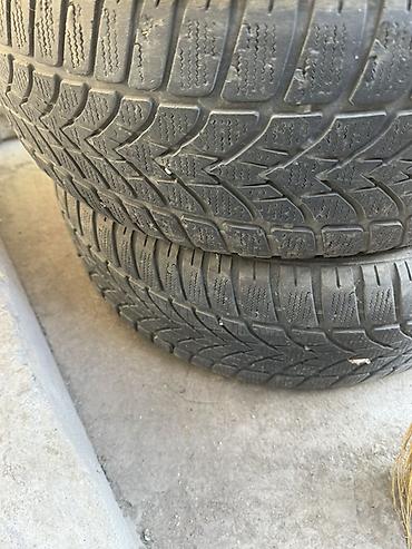 Зимние шины 205/55 R16 91H, бескамерные (Radial Tubeless). Цена за 2 — 2