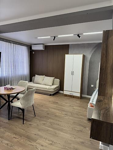 1ком кв пишпек: 1 комната, 31 м², Дворец спорта Элитка, 4 этаж, Свежий ремонт — 6