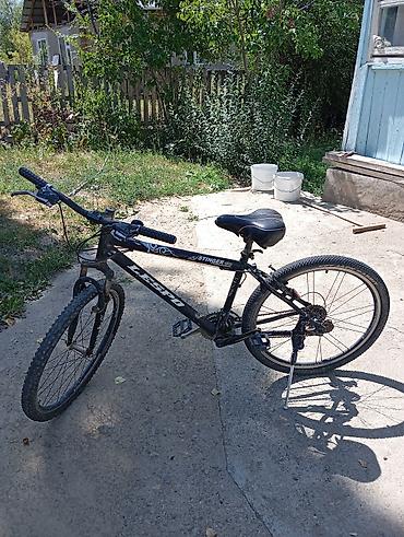 format velosiped: Горный велосипед Stinger (LESPO), черный. - Размер колес: 26" - Рама — 1