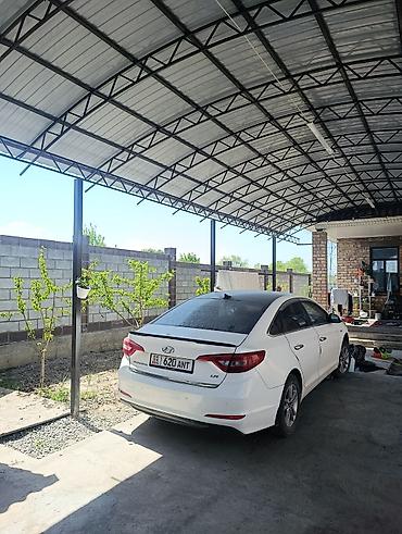 Продажа коттеджей и домов: Дом с большим навесом и хозяйственными постройками на огороженном — 6