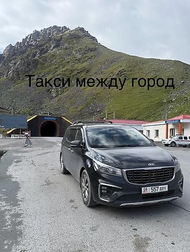 заказывали: Пункт назначения: Все направления, Лицензия №: 01B011209 — 5