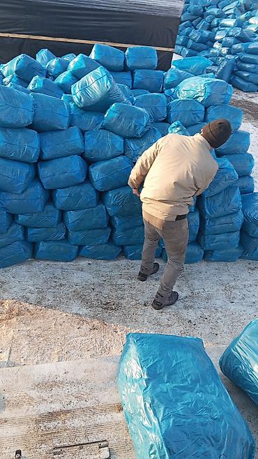 Корма для с/х животных: 50% КУКУРУЗЫ 25 кг ВЕС,С погрузкой выше 5 тонн договорная — 6