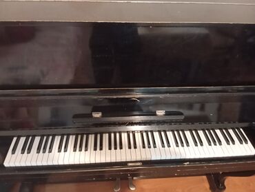 Saz: Piano, Kuban, Akustik, İşlənmiş, Ünvandan götürmə