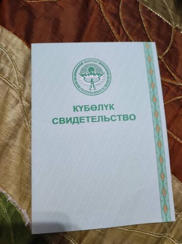 улуш жер сокулук: 350 соток, Айыл чарба үчүн, Кызыл китеп, Техпаспорт, Сатып алуу-сатуу келишими