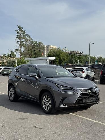лехус нх 300: Lexus NX: 2018 г., 2 л, Автомат, Бензин, Кроссовер — 2
