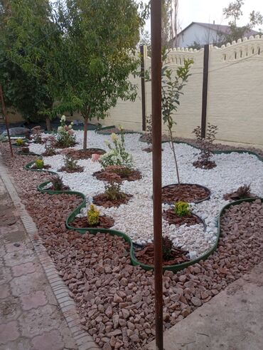 Газон: Газон и Автополив жасайбыз баасы келишим турдо болот! — 13