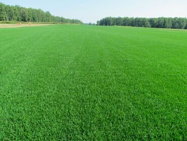 Продажа участков: 200 соток, Для сельского хозяйства, Договор купли-продажи