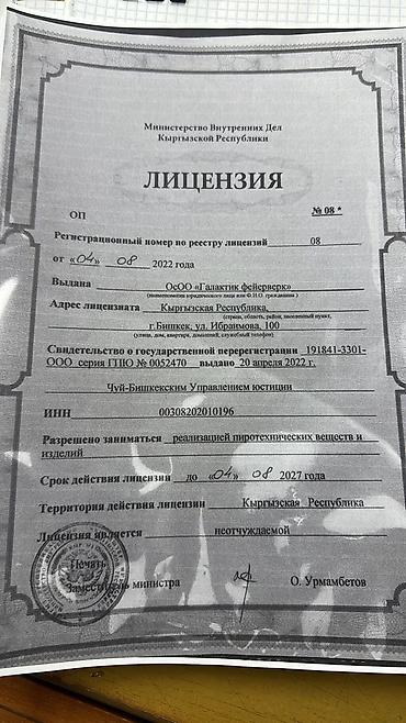 Салюты: Салют от 500 до 27000 Лицензия номер 8 Выдана ОСОО Галактик фейерверк — 29