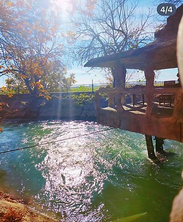 Torpaq sahələrinin satışı: Torpaq sahələrinin satışı -da lalafo.az — 5 Torpaq sahələrinin satışı: Torpaq sahələrinin satışı — 5