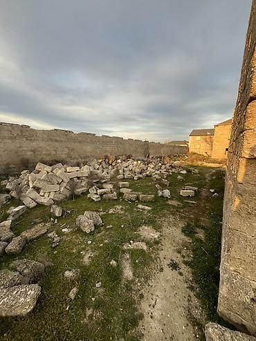 bine sovxoz: 4 sot, Tikinti, Mülkiyyətçi, Bələdiyyə — 5