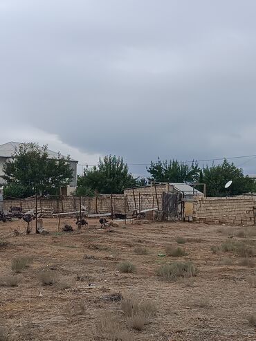 Torpaq sahələrinin satışı: 6 sot, Tikinti, Kupça (Çıxarış) — 9