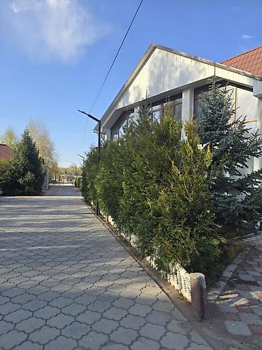 Аренда коттеджей и домов на Иссык-Куле: Коттедж, Royal beach, Чок-Тал, 16 мест — 29