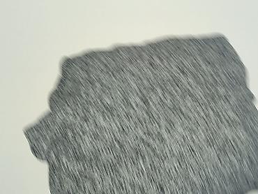 kizo bluza: H&M, Bluza damska
, rozmiar XL — 6