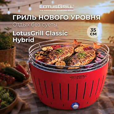Гриль Самовывоз, Платная доставка