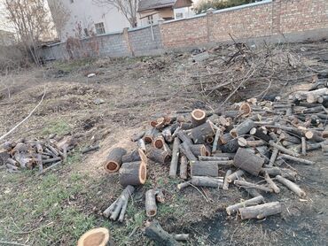 Дрова: Дрова — 2