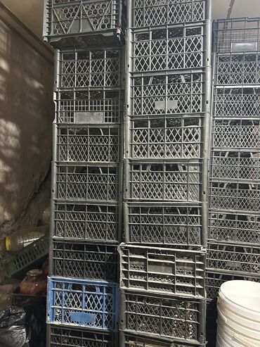 удобная посуда: Пластиковые ящики разных видов