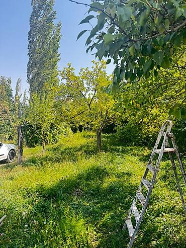 слив коттедж пантера: Дача 6 соток в Кунтуу Радуга срочная цена Правильная форма 20*30 — 7