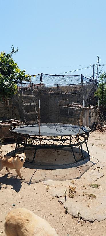 isdemis mebeler: Salam,Batut satilir normal veziyyetdedi birdene yerde sökiyi var bele — 1