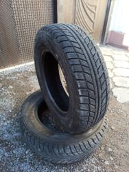 шины бишкек дордой цены: Шиналар 195 / 65 / R 15, Кыш, Комплект, Жеңил унаалар, Жапония, Bridgestone