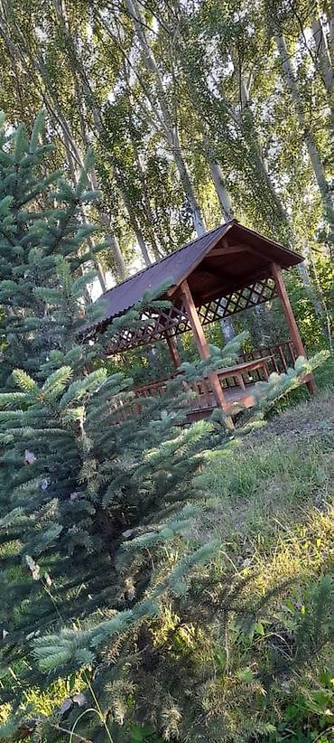 аренда сталовой: 🌲 Зона отдыха "Фазенда"🌲 К вашим услугам мы предлагаем в аренду: ☀️ — 1