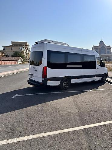 rex sprinter: Пункт назначения: Все направления — 3