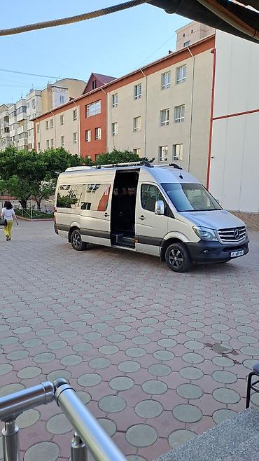 Пассажирский бус на заказ: Пассажирский бус на заказ — 8