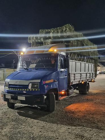 sprinter 2 2: Зил бычок год 2005 объем 4.7 турбина вариант карайбыз - Бортовой — 1