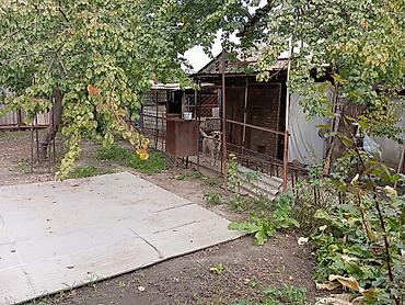 Продажа коттеджей и домов: Срочно!!! Продаются 2 небольших дома на одном участке 5с., в районе — 8