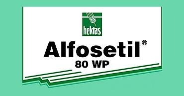 biçak: Bitki Koruma Ürününün Kullanma Şekli Alfosetil® 80 WP bitki özsuyunda — 1