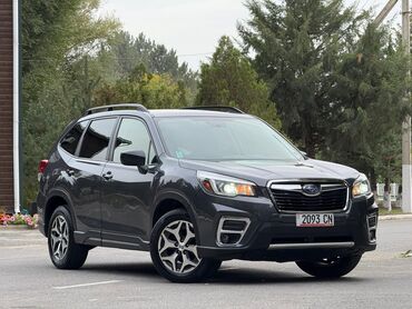 Subaru: Subaru Forester: 2020 г., 2.5 л, Вариатор, Бензин, Кроссовер — 3